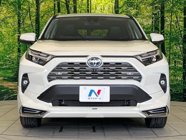 RAV4 HYBRID 4WD