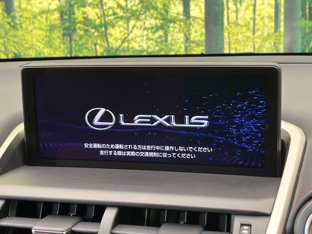 LEXUS NX300 AWD