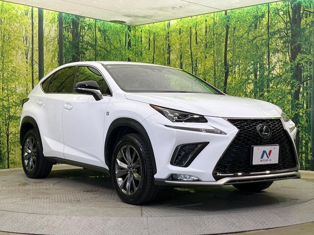 LEXUS NX300 AWD