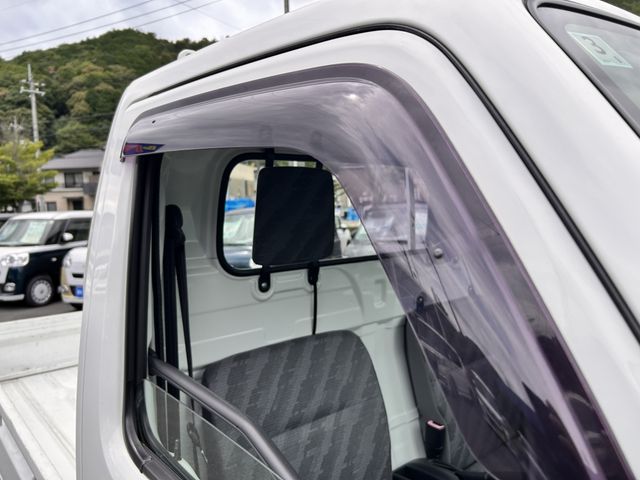 CARRY truck