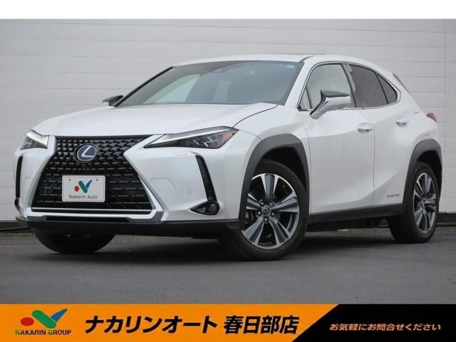 LEXUS UX300e