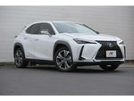 LEXUS UX300e