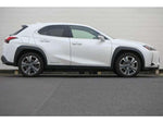 LEXUS UX300e
