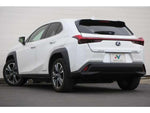 LEXUS UX300e