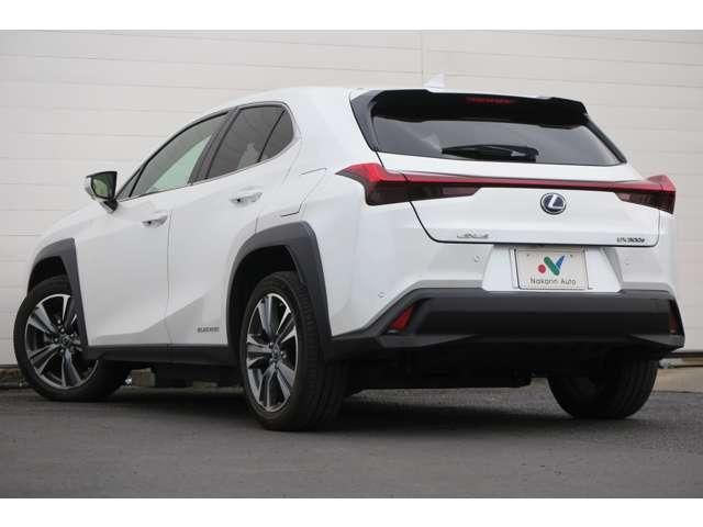 LEXUS UX300e