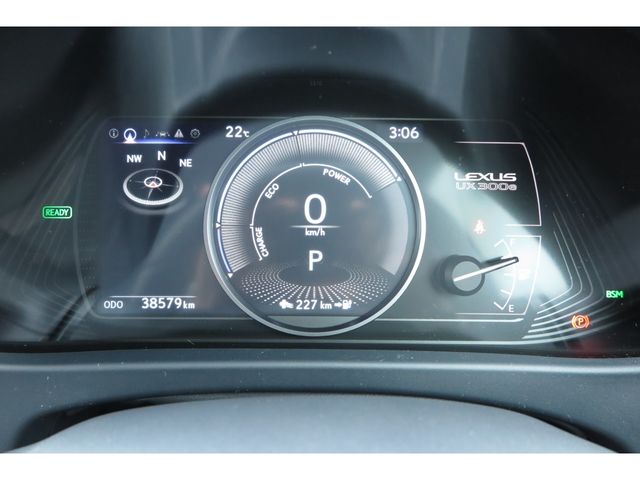 LEXUS UX300e