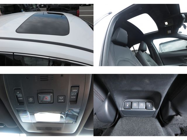LEXUS UX300e