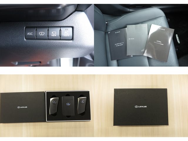 LEXUS UX300e