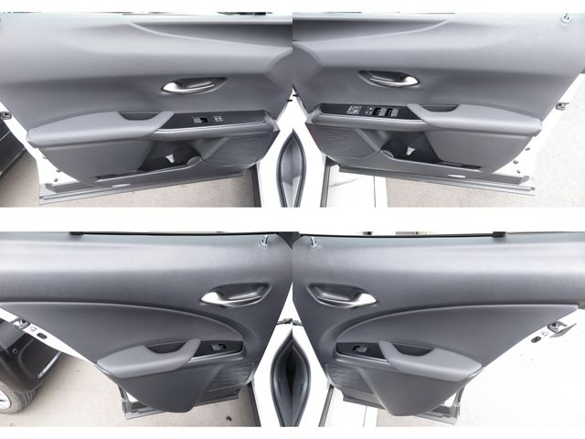 LEXUS UX300e