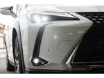 LEXUS UX300e