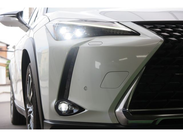 LEXUS UX300e