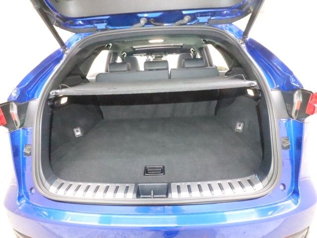 LEXUS NX300h