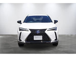 LEXUS UX250h AWD