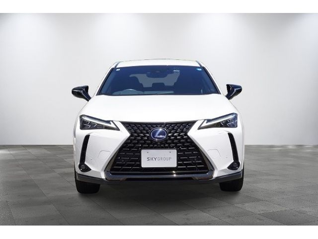 LEXUS UX250h AWD