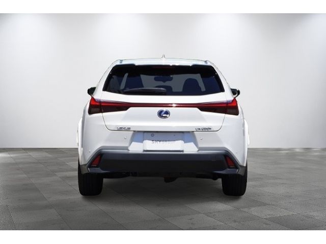 LEXUS UX250h AWD