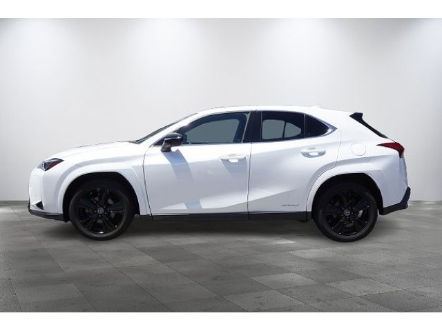 LEXUS UX250h AWD
