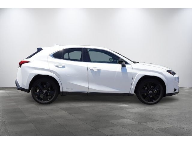 LEXUS UX250h AWD