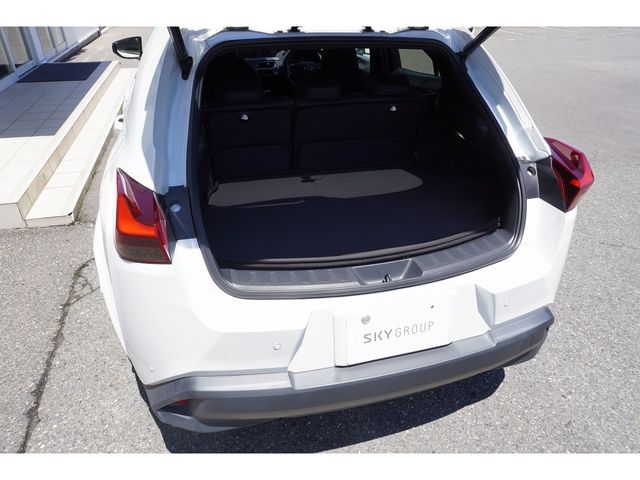 LEXUS UX250h AWD