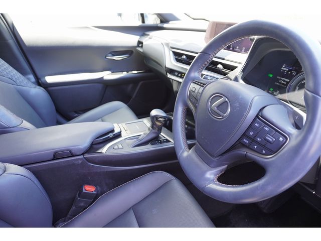 LEXUS UX250h AWD