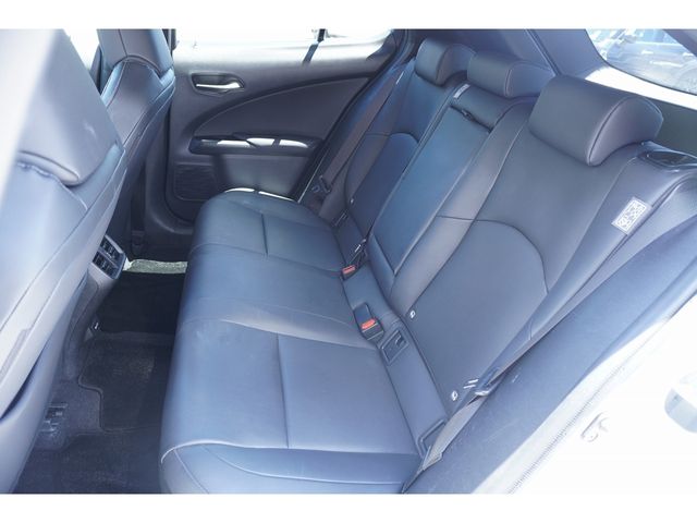 LEXUS UX250h AWD