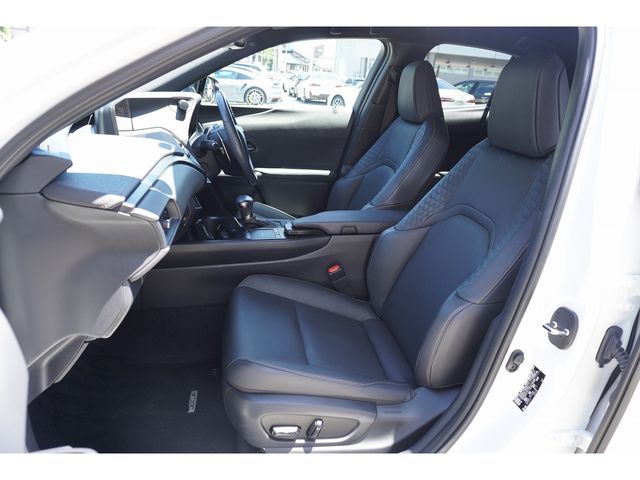 LEXUS UX250h AWD
