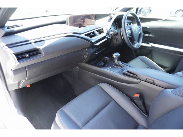 LEXUS UX250h AWD