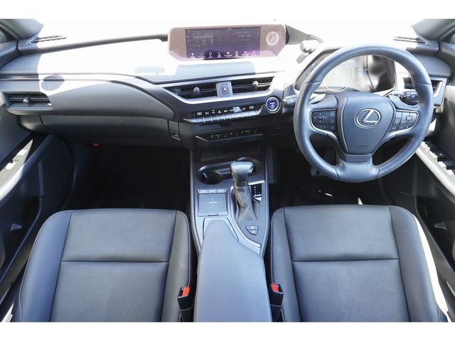 LEXUS UX250h AWD