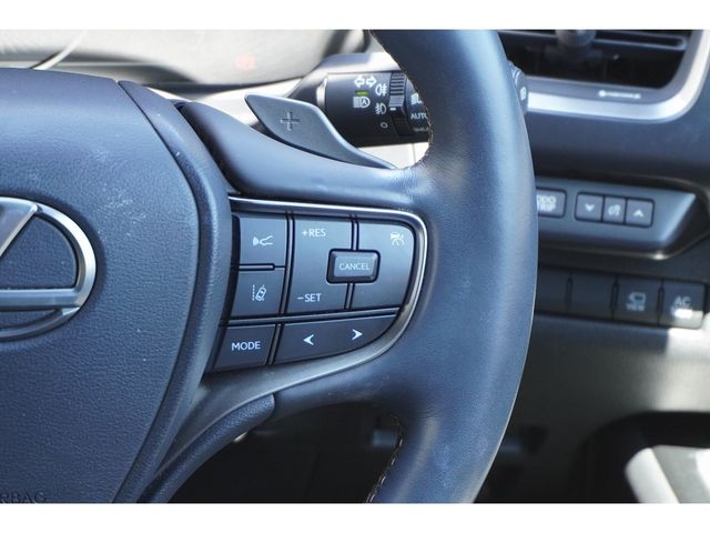 LEXUS UX250h AWD