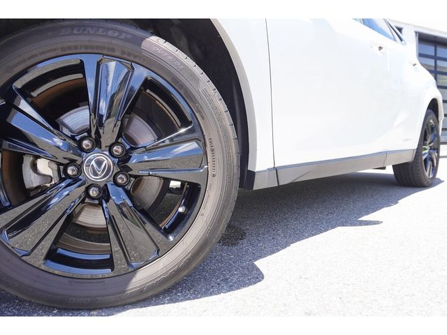 LEXUS UX250h AWD