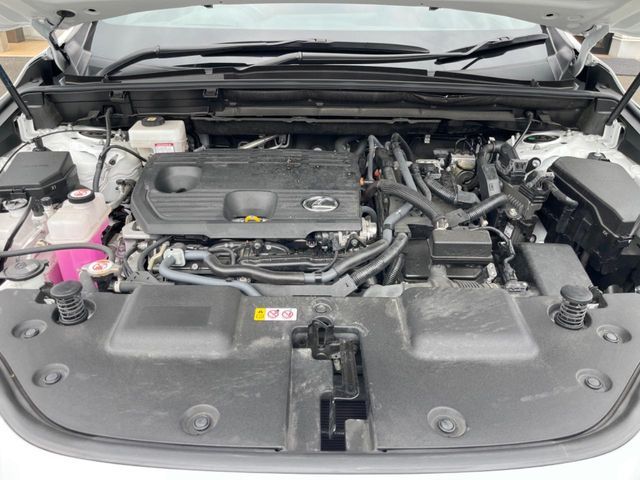 LEXUS NX350h