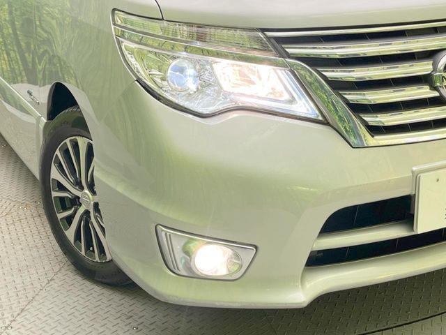 SERENA  S-HYBRID