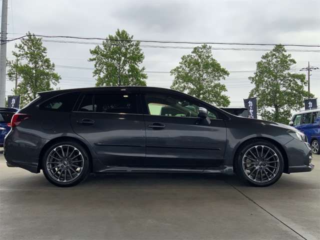 LEVORG
