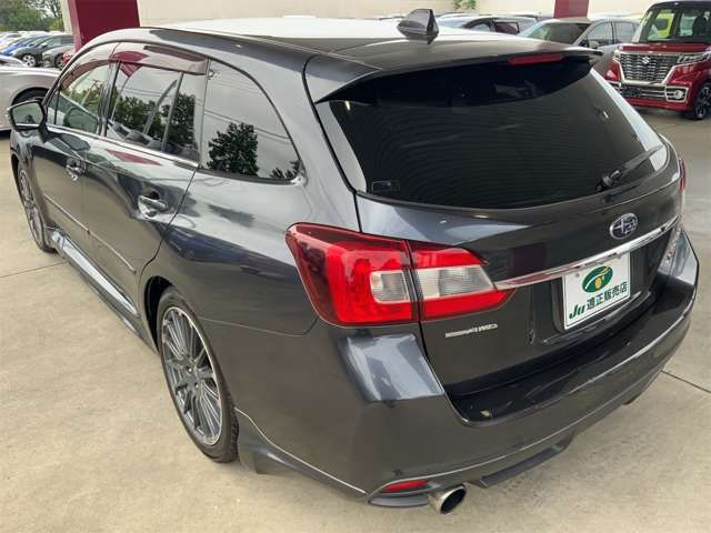LEVORG