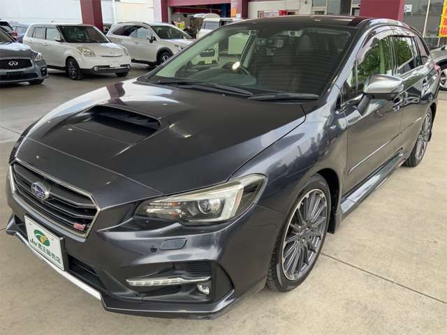 LEVORG