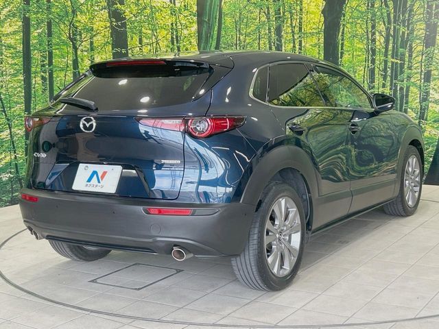 CX-30
