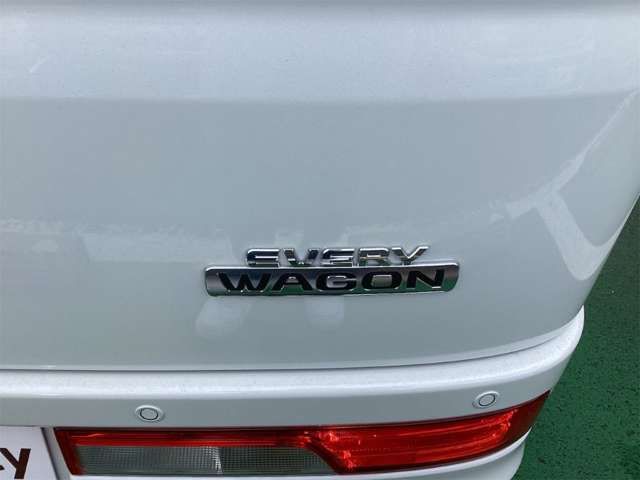 EVERY wagon