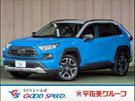 RAV4 4WD