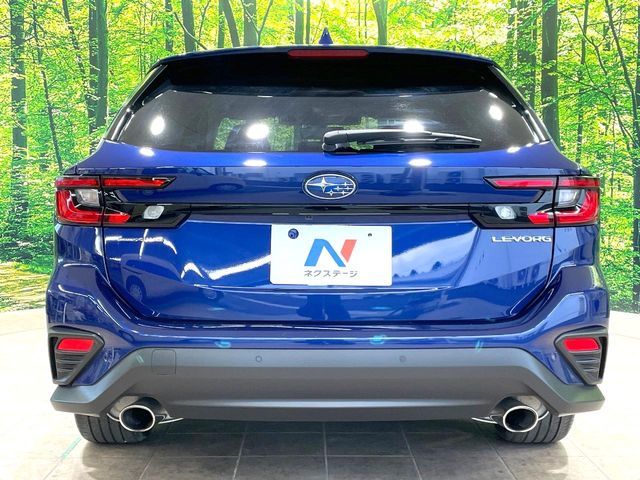 LEVORG