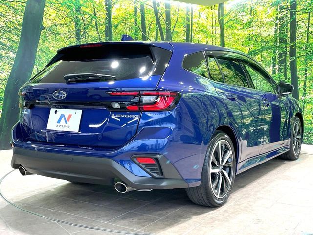 LEVORG