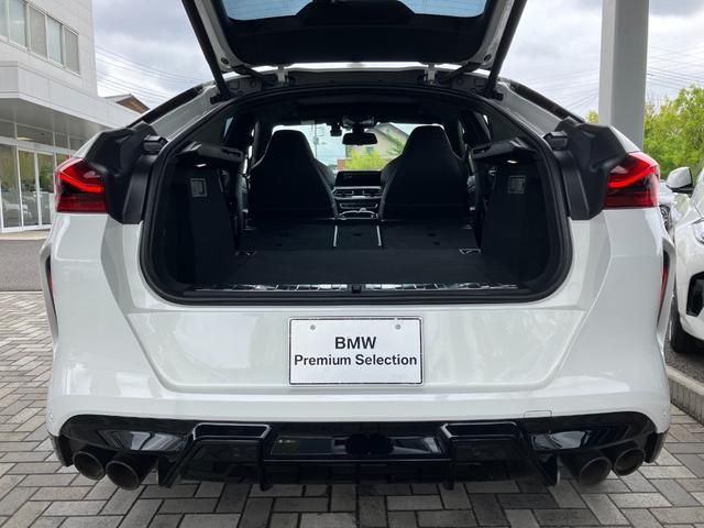 BMW X6 M
