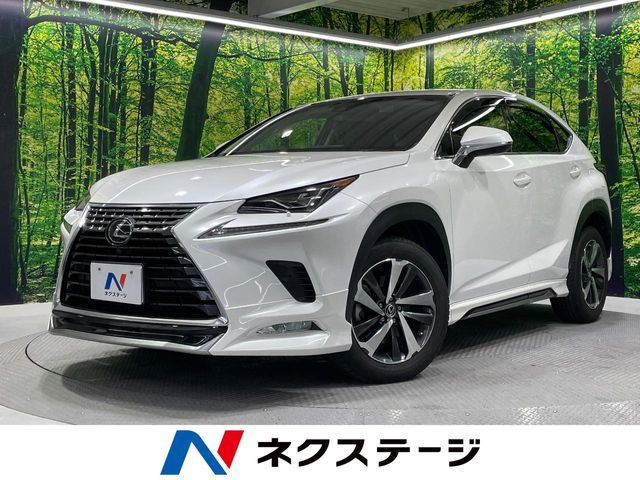 LEXUS NX300