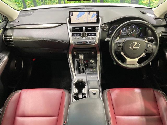 LEXUS NX300