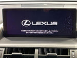 LEXUS NX300