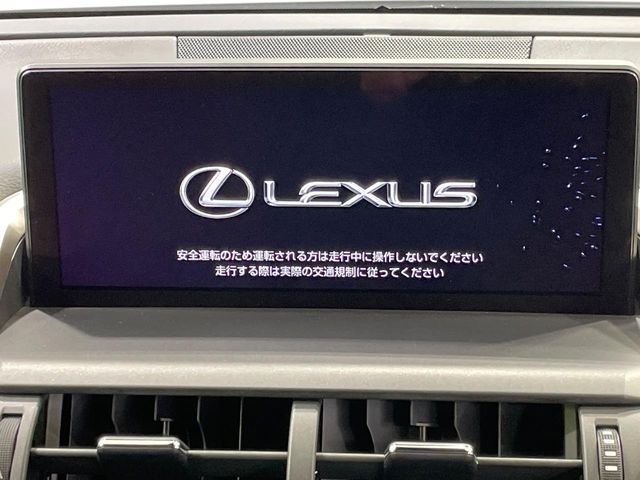 LEXUS NX300