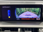 LEXUS NX300