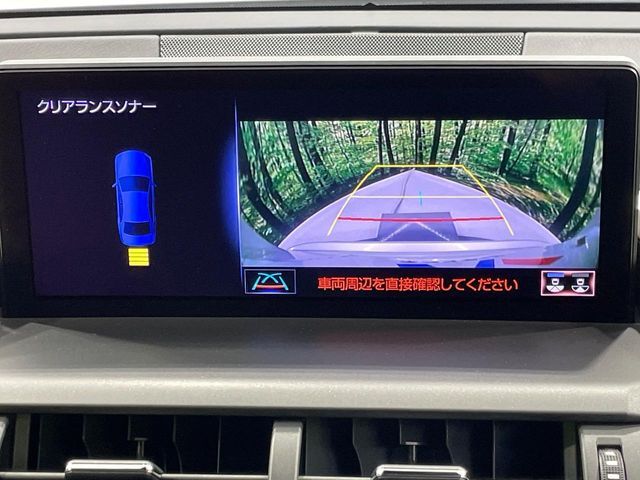 LEXUS NX300