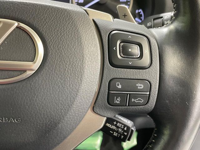 LEXUS NX300