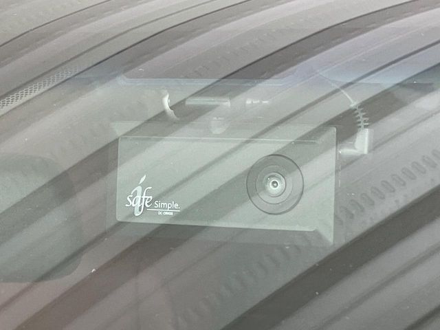 LEXUS NX300