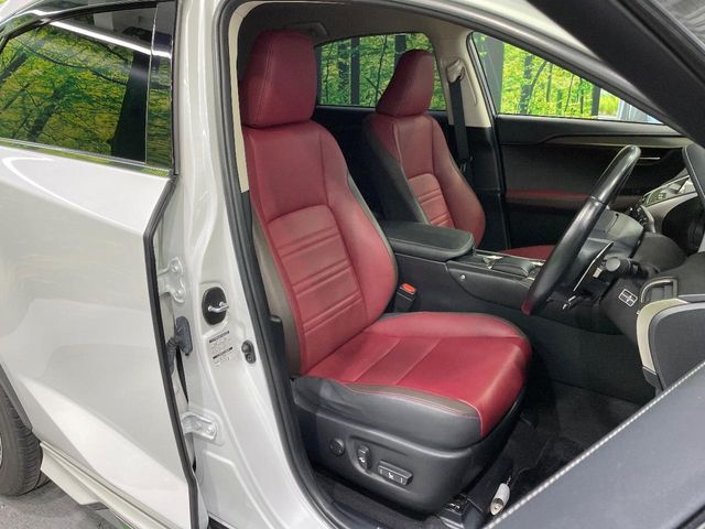 LEXUS NX300