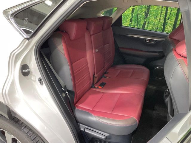 LEXUS NX300